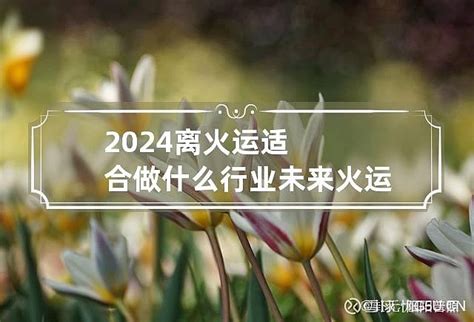 2024离火运